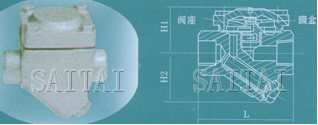 高温高压膜盒式蒸汽疏水阀结构图2